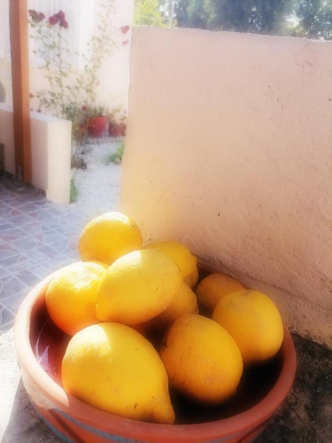 卡莱维斯Lemon Tree House别墅 外观 照片